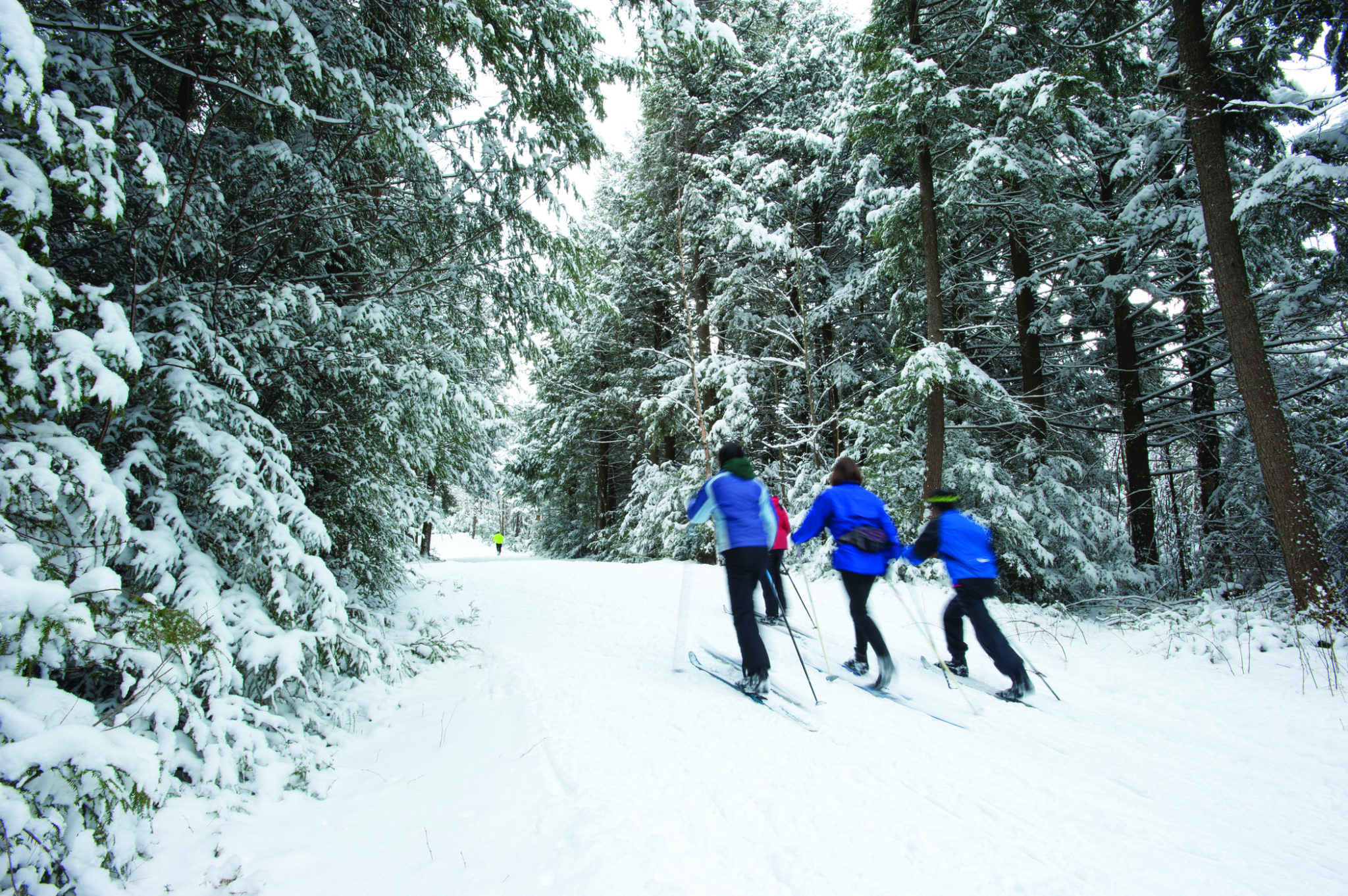 The Face of Nordic Skiing is Changing