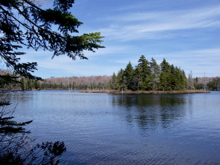 5 Trout Ponds to Trek To - Vermont Sports Magazine